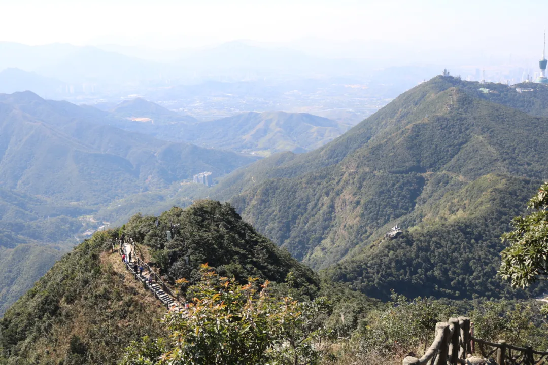 海普天丨市場部團(tuán)建活動---梧桐山之旅......(圖15)
